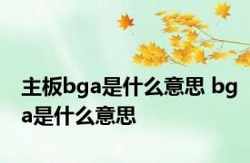 主板bga是什么意思 bga是什么意思 