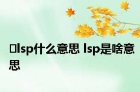  lsp什么意思 lsp是啥意思