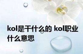 kol是干什么的 kol职业什么意思