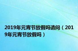 2019年元宵节放假吗请问（2019年元宵节放假吗）