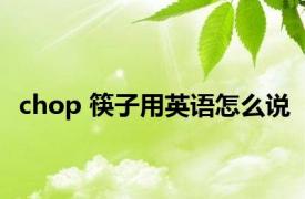 chop 筷子用英语怎么说 