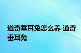 道奇垂耳兔怎么养 道奇垂耳兔 