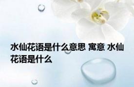 水仙花语是什么意思 寓意 水仙花语是什么 