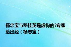 杨忠宝与穆桂英是虚构的?专家给出经（杨忠宝）