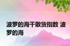 波罗的海干散货指数 波罗的海 