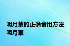 明月草的正确食用方法 明月草 