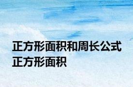 正方形面积和周长公式 正方形面积 