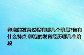 卵泡的发育过程有哪几个阶段?各有什么特点 卵泡的发育经历哪几个阶段