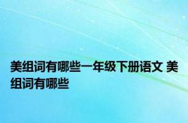 美组词有哪些一年级下册语文 美组词有哪些 