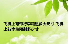 飞机上可带行李箱是多大尺寸 飞机上行李箱限制多少寸 