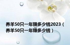 养羊50只一年赚多少钱2023（养羊50只一年赚多少钱）