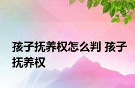 孩子抚养权怎么判 孩子抚养权 