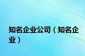 知名企业公司（知名企业）