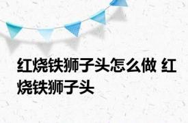 红烧铁狮子头怎么做 红烧铁狮子头 