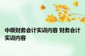 中级财务会计实训内容 财务会计实训内容 