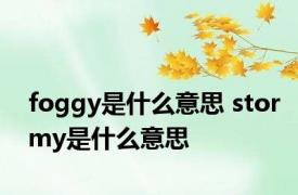 foggy是什么意思 stormy是什么意思 