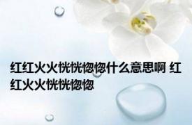 红红火火恍恍惚惚什么意思啊 红红火火恍恍惚惚 