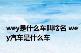 wey是什么车叫啥名 wey汽车是什么车 