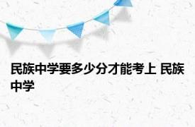 民族中学要多少分才能考上 民族中学 