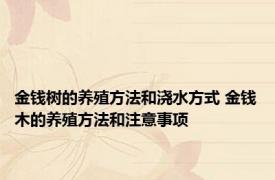 金钱树的养殖方法和浇水方式 金钱木的养殖方法和注意事项 