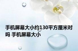 手机屏幕大小约130平方厘米对吗 手机屏幕大小 