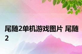 尾随2单机游戏图片 尾随2 