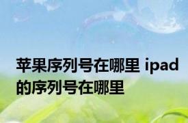 苹果序列号在哪里 ipad的序列号在哪里