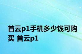 首云p1手机多少钱可购买 首云p1 