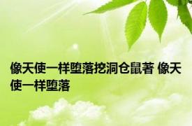 像天使一样堕落挖洞仓鼠著 像天使一样堕落 