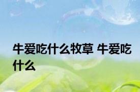 牛爱吃什么牧草 牛爱吃什么 