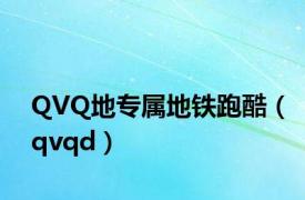 QVQ地专属地铁跑酷（qvqd）