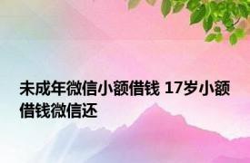 未成年微信小额借钱 17岁小额借钱微信还 