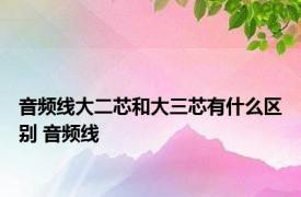 音频线大二芯和大三芯有什么区别 音频线 