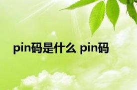 pin码是什么 pin码 