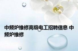 中频炉维修高级电工招聘信息 中频炉维修 