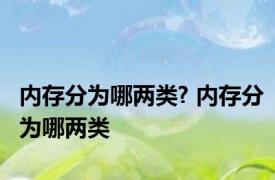 内存分为哪两类? 内存分为哪两类 