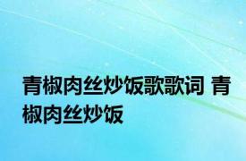 青椒肉丝炒饭歌歌词 青椒肉丝炒饭 