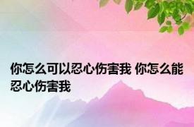 你怎么可以忍心伤害我 你怎么能忍心伤害我 