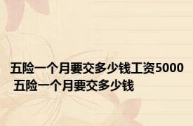 五险一个月要交多少钱工资5000 五险一个月要交多少钱 