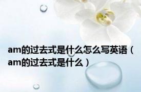 am的过去式是什么怎么写英语（am的过去式是什么）