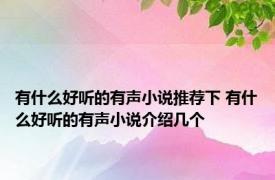 有什么好听的有声小说推荐下 有什么好听的有声小说介绍几个