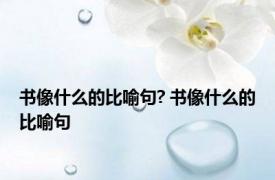 书像什么的比喻句? 书像什么的比喻句 