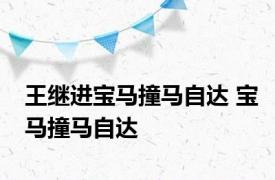 王继进宝马撞马自达 宝马撞马自达 