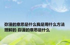 弥漫的意思是什么我是用什么方法理解的 弥漫的意思是什么 