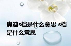 奥迪s档是什么意思 s档是什么意思 