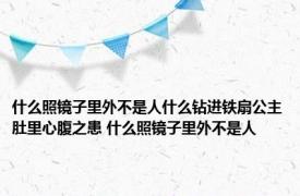 什么照镜子里外不是人什么钻进铁扇公主肚里心腹之患 什么照镜子里外不是人 