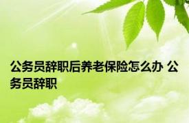 公务员辞职后养老保险怎么办 公务员辞职 