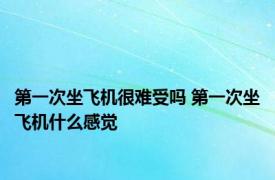 第一次坐飞机很难受吗 第一次坐飞机什么感觉 