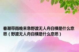 春潮带雨晚来急野渡无人舟自横是什么意思（野渡无人舟自横是什么意思）