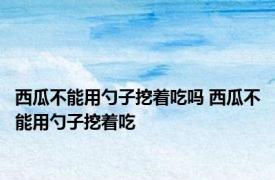 西瓜不能用勺子挖着吃吗 西瓜不能用勺子挖着吃 